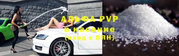 тгк Новозыбков