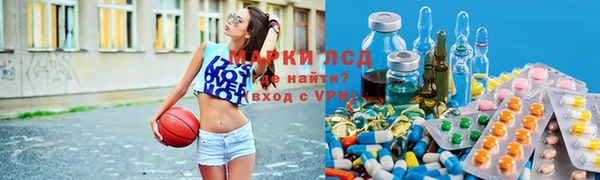 тгк Новозыбков
