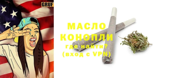 прущие грибы Новодвинск