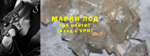 прущие грибы Новодвинск
