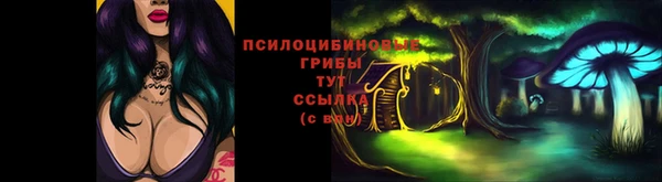 прущие крисы Михайловск