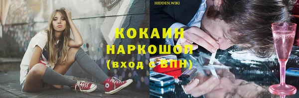 apvp Богородицк