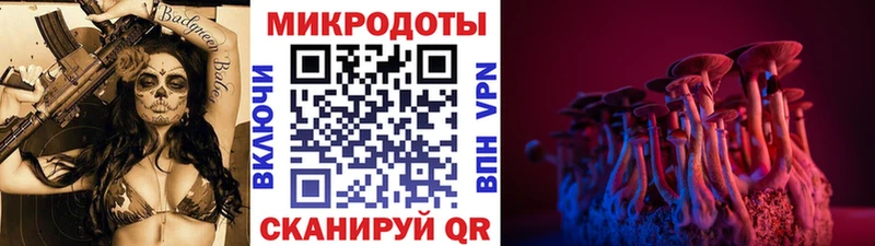 Галлюциногенные грибы Cubensis Томари