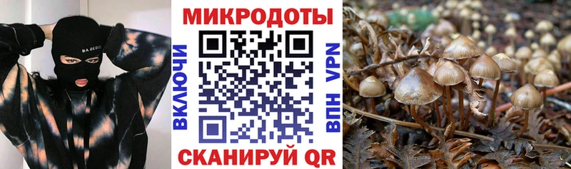 Галлюциногенные грибы GOLDEN TEACHER  Томари 